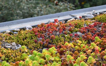 the cost of Middleyard green roof installation