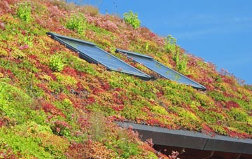 Middleyard living roof systems
